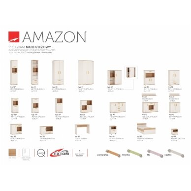 AMAZON rašomasis stalas TYP 81 3 AMAZON rašomasis stalas TYP 81 3