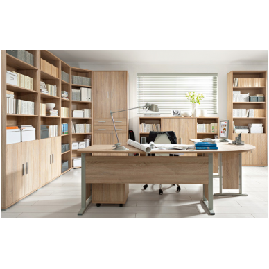 BRW OFFICE spinta su lentynomis REG4D2S/220 1