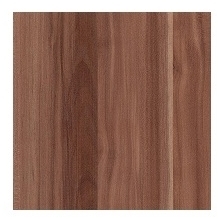 PENELOPA RTV spintelė P03 2