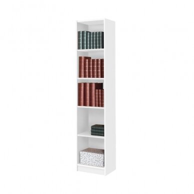 Pastatoma lentyna 40