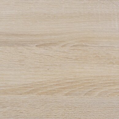 Pastatoma lentyna 40 1